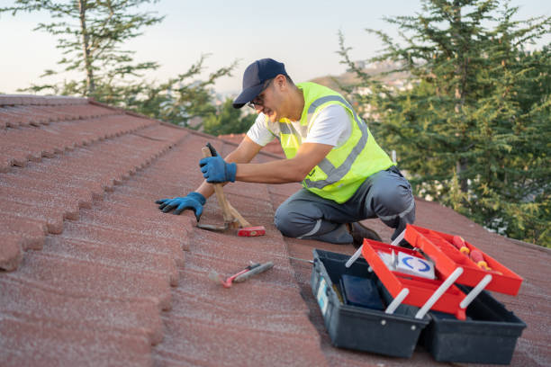 Best Roof Gutter Cleaning  in Bonadelle Ranchos, CA